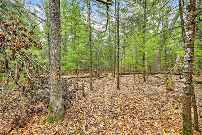 5 Ac Kl Townline Road, Mauston, WI 53948 - Photo 5