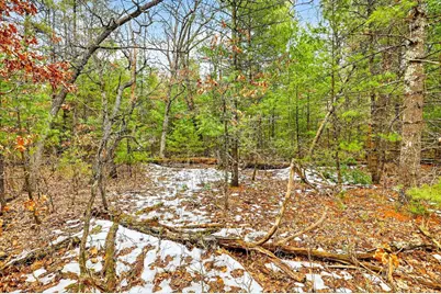 5 Ac Kl Townline Road, Mauston, WI 53948 - Photo 11