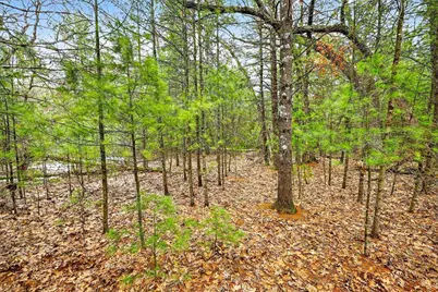 5 Ac Kl Townline Road, Mauston, WI 53948 - Photo 3