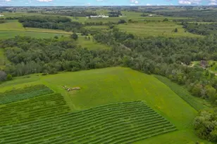 S3424 Peterson Ln, Viroqua, WI 54665 - Photo 27