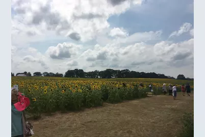 S3424 Peterson Lane, Viroqua, WI 54665 - Photo 87