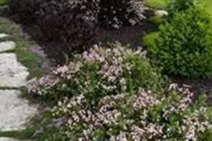 W278N8854 Twin Pine Cir, Hartland, WI 53029 - Photo 53