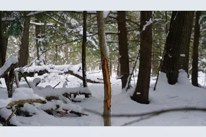 43+/- Ac County Rd Ff Acres, Merrill, WI 54452 - Photo 11