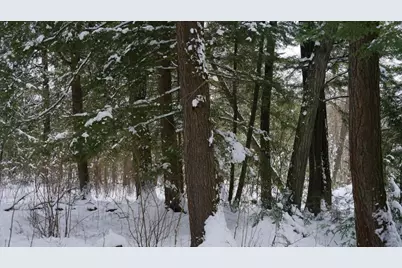 43+/- Ac County Rd Ff Acres, Merrill, WI 54452 - Photo 15