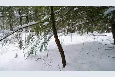 43+/- Ac County Rd Ff Acres, Merrill, WI 54452 - Photo 9