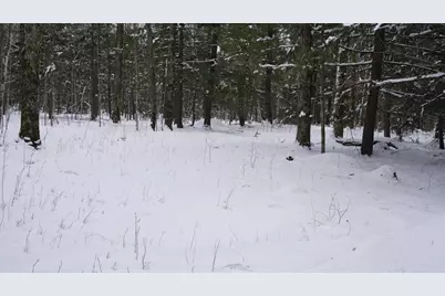 43+/- Ac County Rd Ff Acres, Merrill, WI 54452 - Photo 7