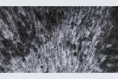 43+/- Ac County Rd Ff Acres, Merrill, WI 54452 - Photo 3