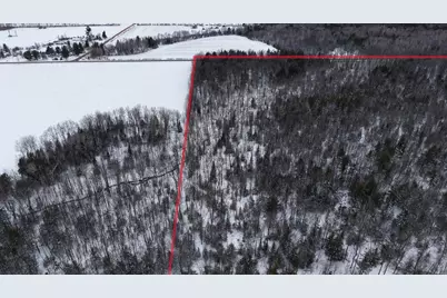 43+/- Ac County Rd Ff Acres, Merrill, WI 54452 - Photo 23