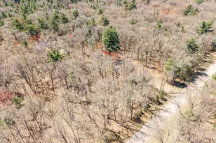 1809 S Badger Ct, Arkdale, WI 54613 - Photo 39