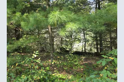 W6256 County Road A, New Lisbon, WI 53950 - Photo 39