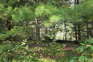 W6256 Co Rd A, New Lisbon, WI 53950 - Photo 39