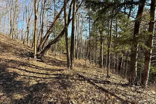 E3497 Croal Hollow Rd, Hillpoint, WI 53937 - Photo 47