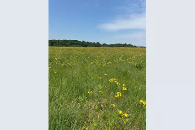 180 County Road F, Blanchardville, WI 53516 - Photo 37