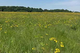 180 County Road F, Blanchardville, WI 53516 - Photo 37