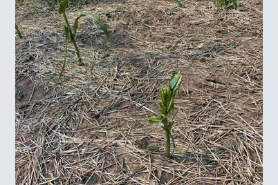 0000 State Hwy 21, Friendship, WI 53934 - Photo 39