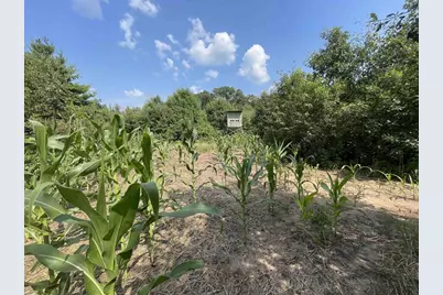 0000 State Hwy 21, Friendship, WI 53934 - Photo 35