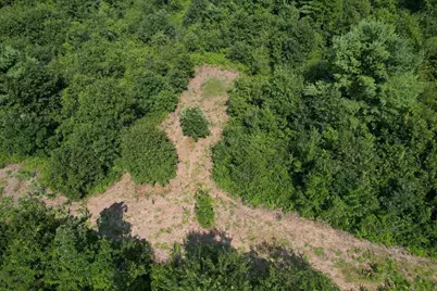 0000 State Hwy 21, Friendship, WI 53934 - Photo 9