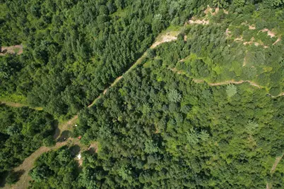 0000 State Hwy 21, Friendship, WI 53934 - Photo 21