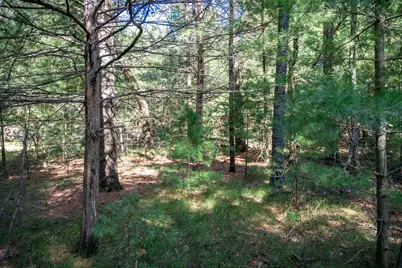 Lot 6 Cherokee Lane, New Lisbon, WI 53950 - Photo 9