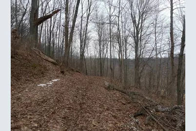 24503 Livingston Road, Wilton, WI 54670 - Photo 19