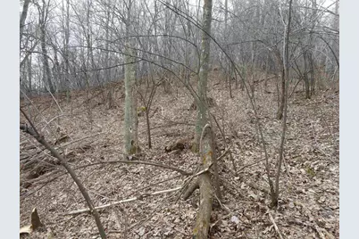 24503 Livingston Road, Wilton, WI 54670 - Photo 11