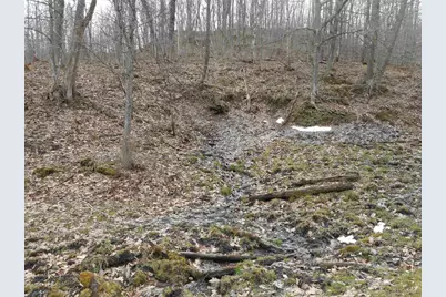 24503 Livingston Road, Wilton, WI 54670 - Photo 43