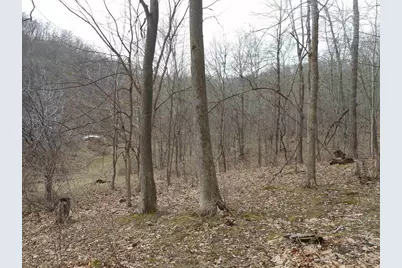 24503 Livingston Road, Wilton, WI 54670 - Photo 3