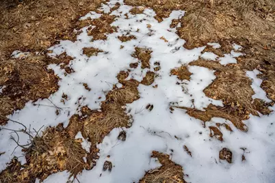 W5236 23rd Street, Necedah, WI 54646 - Photo 33