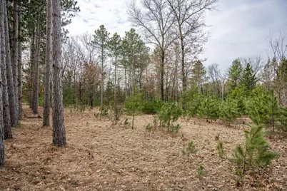 W5236 23rd Street, Necedah, WI 54646 - Photo 27