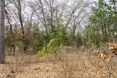 W5236 23rd Street, Necedah, WI 54646 - Photo 49