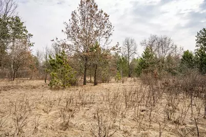 W5236 23rd Street, Necedah, WI 54646 - Photo 39