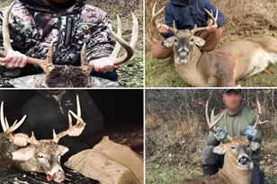 E16448 Sunrise Ln, Hillsboro, WI 54634 - Photo 47