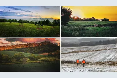 E16448 Sunrise Lane, Hillsboro, WI 54634 - Photo 49