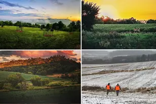 E16448 Sunrise Ln, Hillsboro, WI 54634 - Photo 49