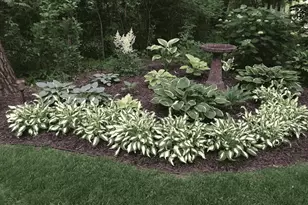 889 19th Dr, Arkdale, WI 54613 - Photo 63