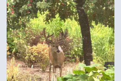 N6241 County Road W, Portage, WI 53901 - Photo 57