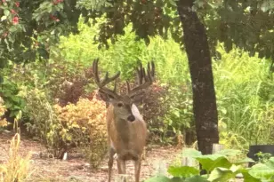 N6241 County Rd W, Portage, WI 53901 - Photo 57