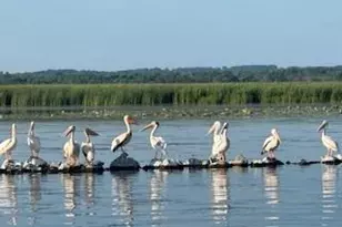 W6182 Lakeview Dr, Markesan, WI 53946 - Photo 85