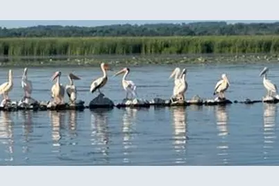 W6182 Lakeview Drive, Markesan, WI 53946 - Photo 39