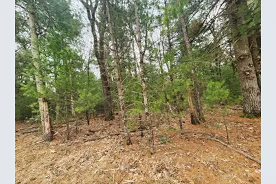 Dyke Avenue, Adams, WI 53910 - Photo 17