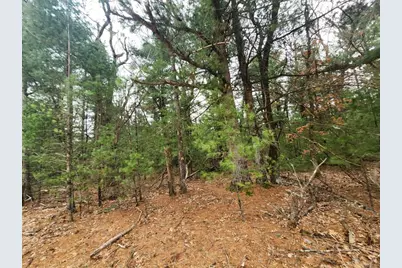 Dyke Avenue, Adams, WI 53910 - Photo 15