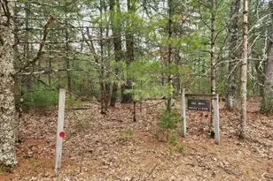 Dyke Ave, Adams, WI 53910 - Photo 1