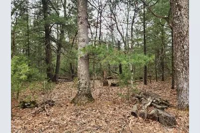 Dyke Avenue, Adams, WI 53910 - Photo 9