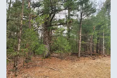 Dyke Avenue, Adams, WI 53910 - Photo 5