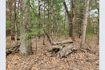 Dyke Avenue, Adams, WI 53910 - Photo 3