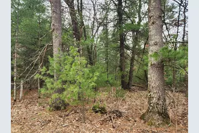 Dyke Avenue, Adams, WI 53910 - Photo 11