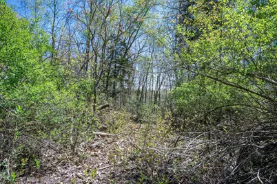 6.51 Ac County Road C, Montello, WI 53949 - Photo 19