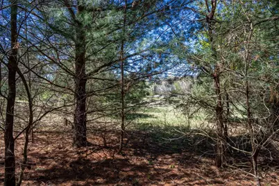 6.51 Ac County Road C, Montello, WI 53949 - Photo 25