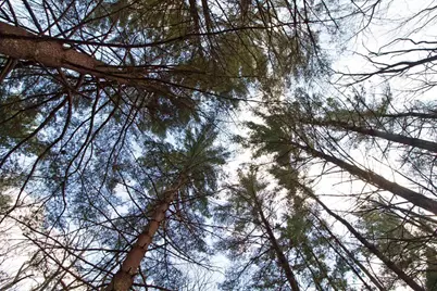 33564 Fulton Street, Lone Rock, WI 53556 - Photo 5