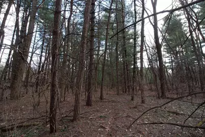 33564 Fulton Street, Lone Rock, WI 53556 - Photo 7